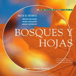 Cover of Atmosferas Naturales - Bosques y Hojas