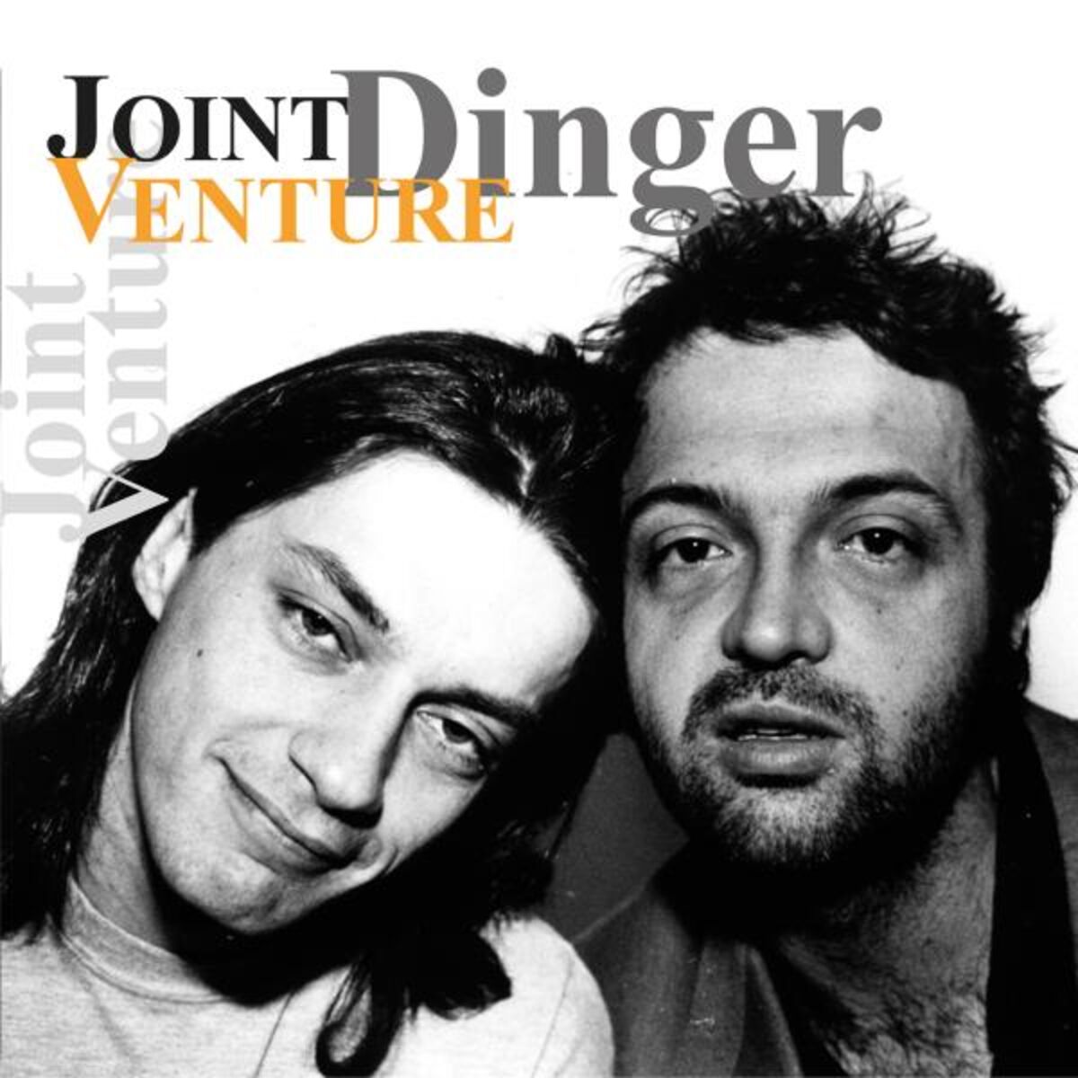 Album cover of Dinger