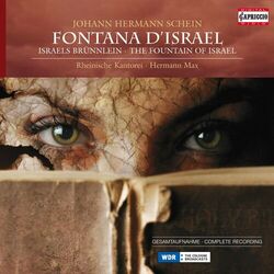 Cover of Schein: Fontana d'Israel