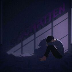 Cover of schatten