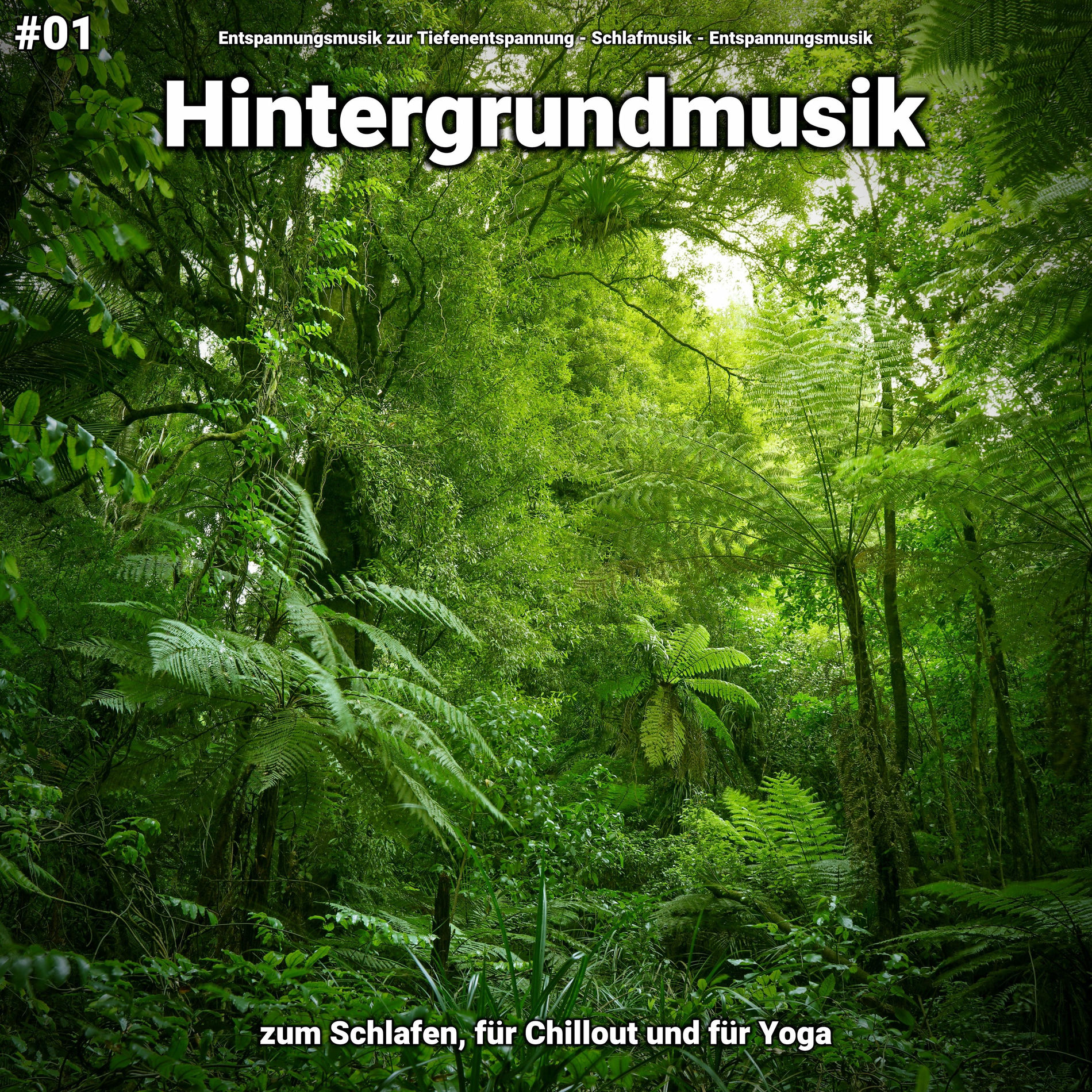 Album cover of Wellness Musik