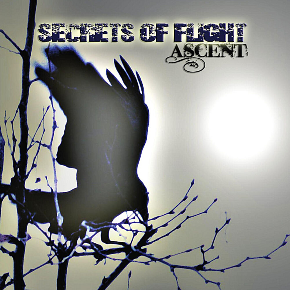 Picture of Secrets of Flight