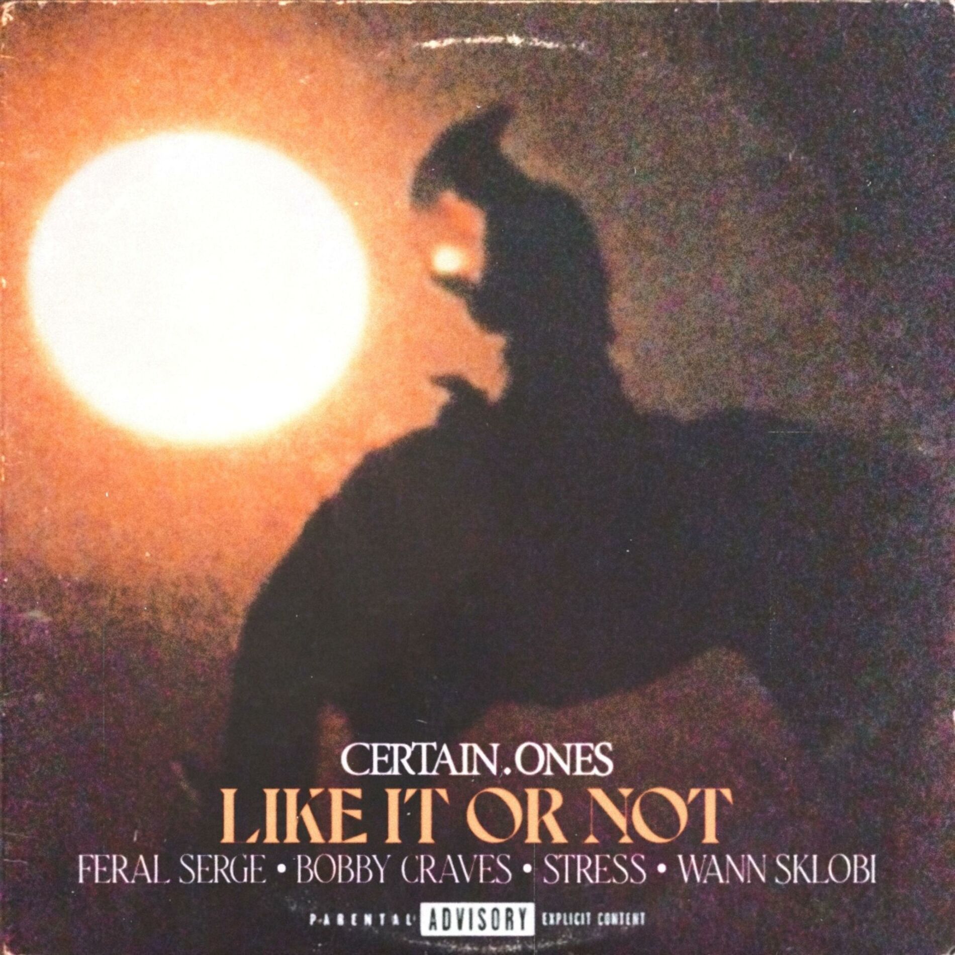 Album cover of Like It Or Not (feat. Feral Serge, Bobby Craves, Stress & Wann Sklobi)