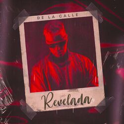Cover of Revelada