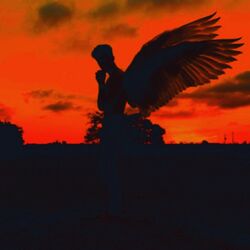 Cover of Angel in the Sky