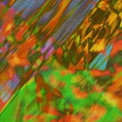 Cover of Stay Here