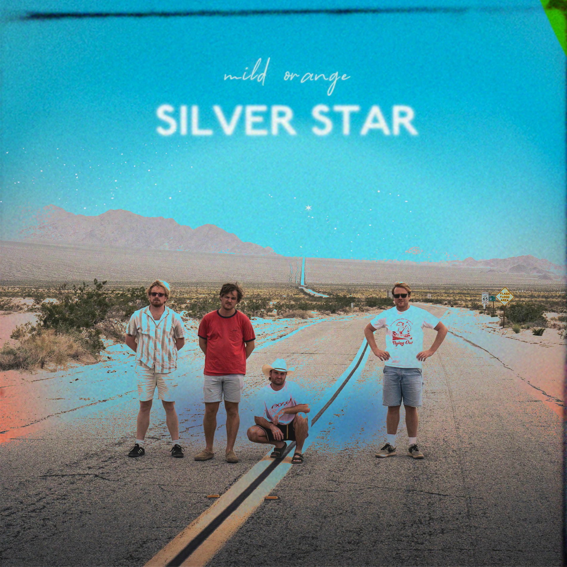 Album cover of Silver Star
