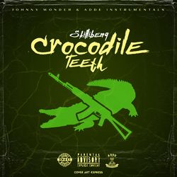 Pochette album