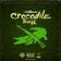 Crocodile Teeth