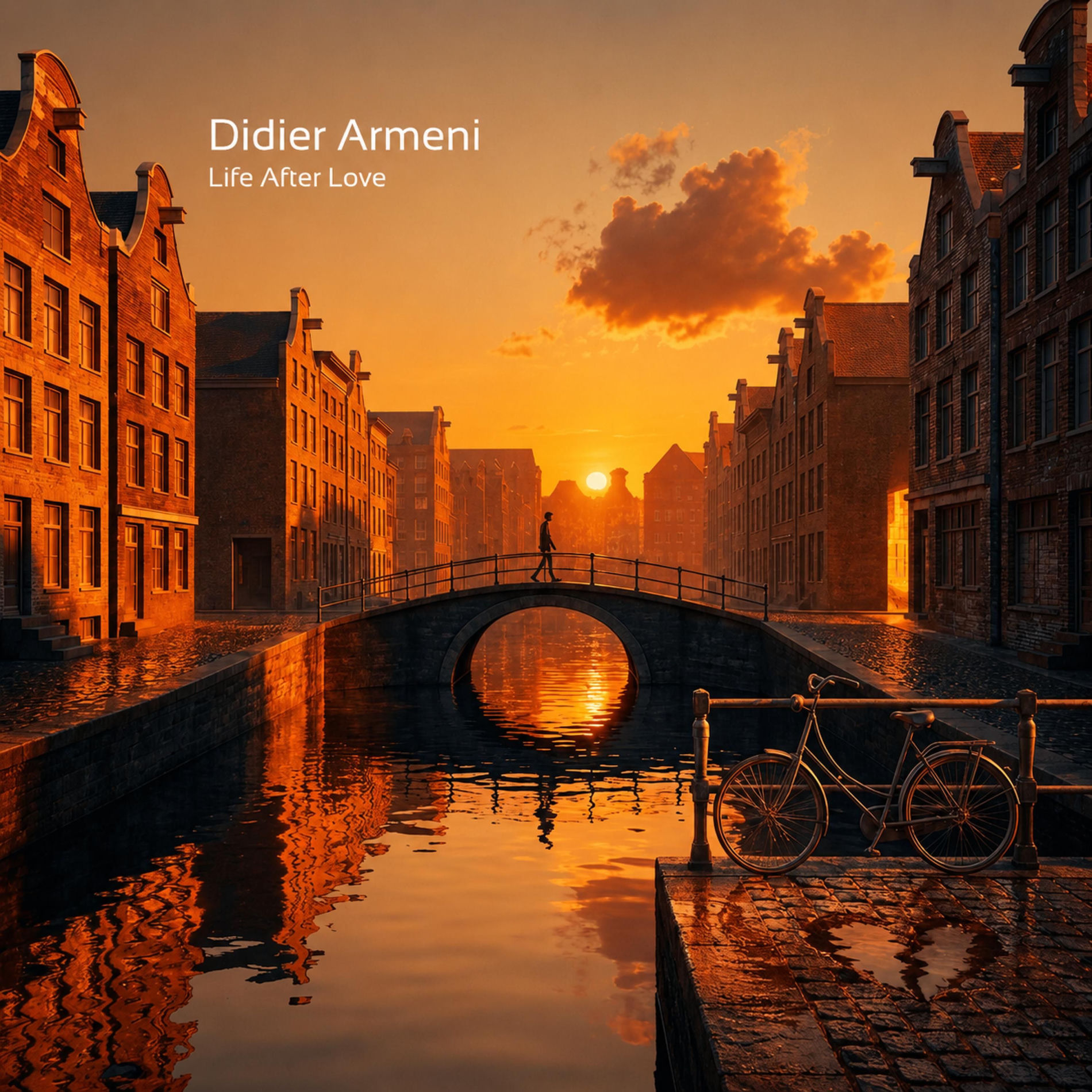 Album cover of Life After Love