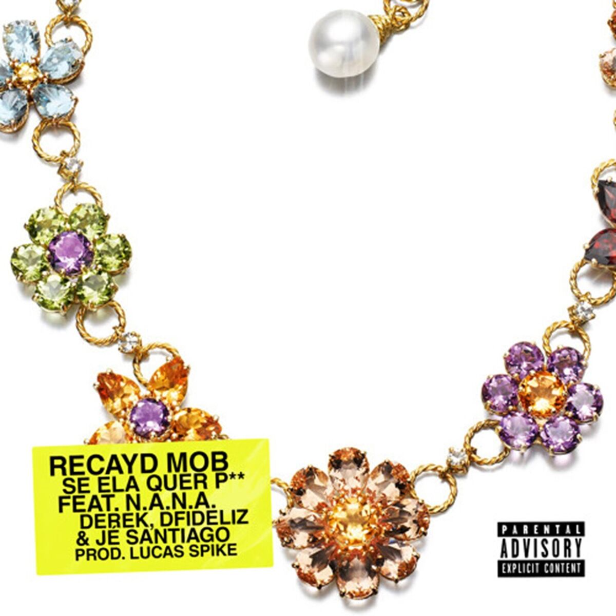 Album cover of Se Ela quer P**