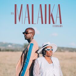 Cover of Malaika x Bien