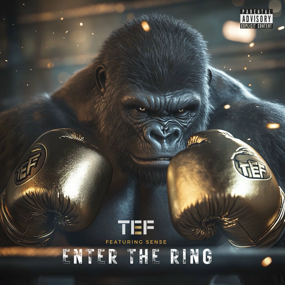 Album cover of Enter The Ring