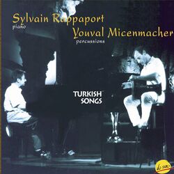 Cover of Turkish songs