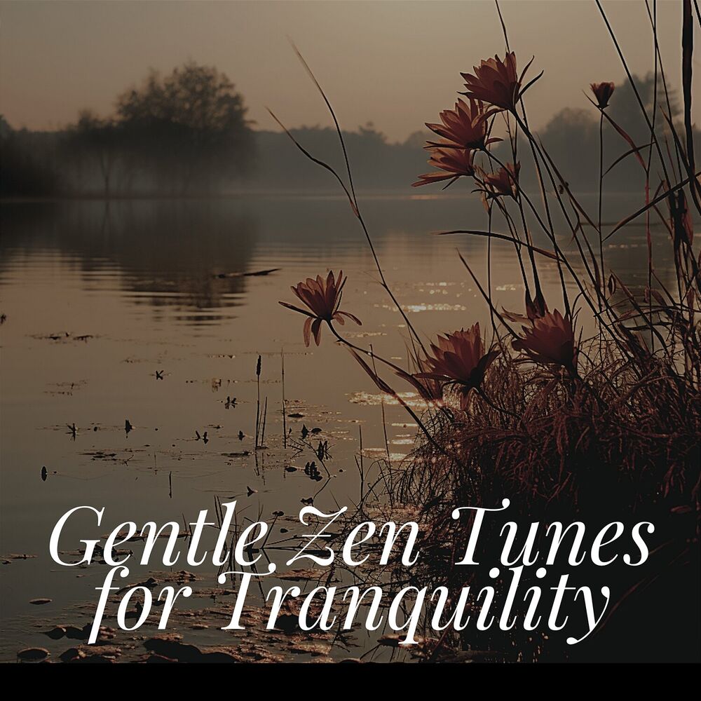 Picture of Gentle Zen Tunes for Tranquility