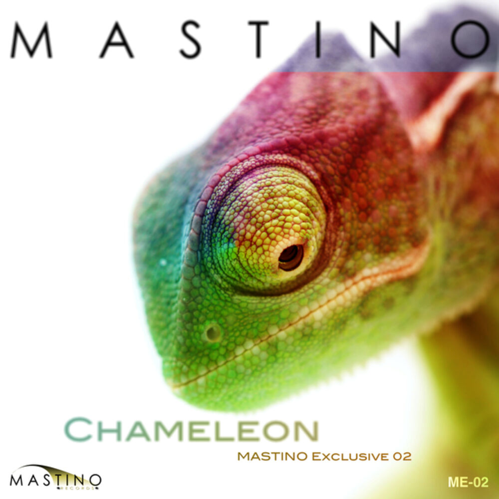 Picture of Chameleon