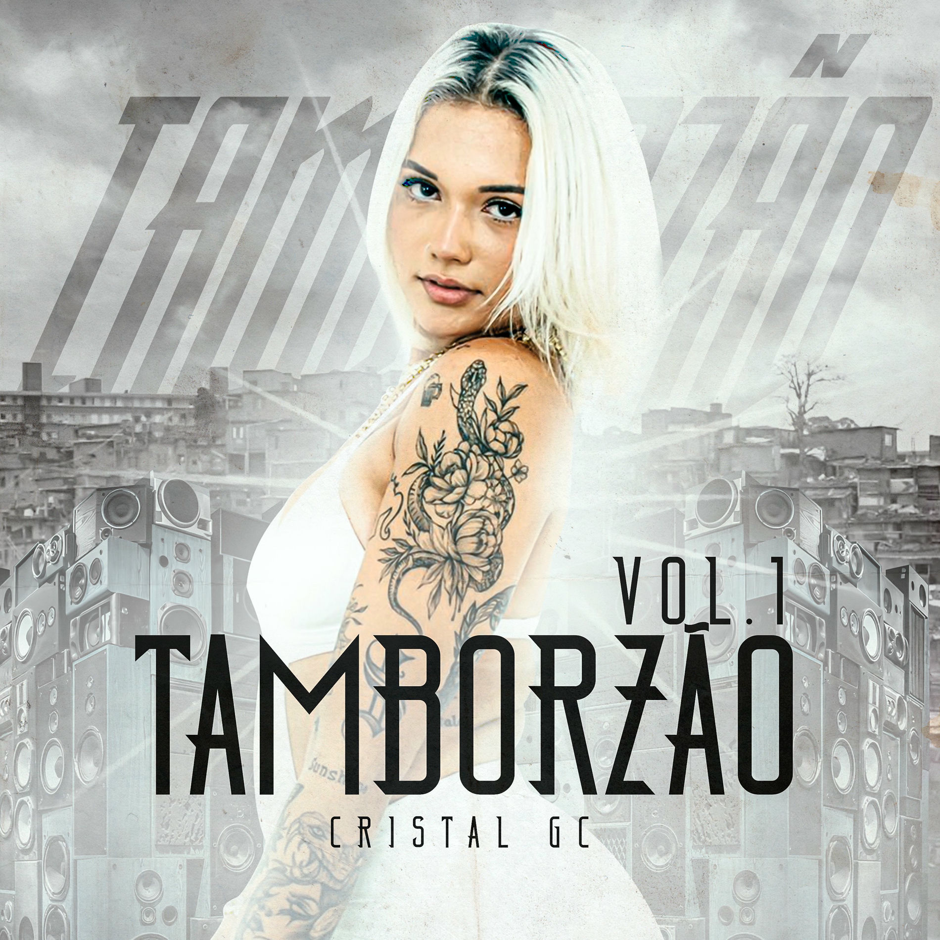 Album cover of Minha Paga Pau