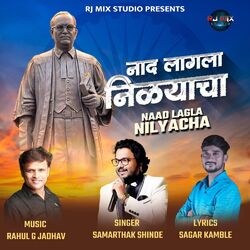 Cover of Naad Lagla Nilyacha