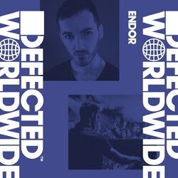 Cover of Defected Worldwide (DJ Mix)