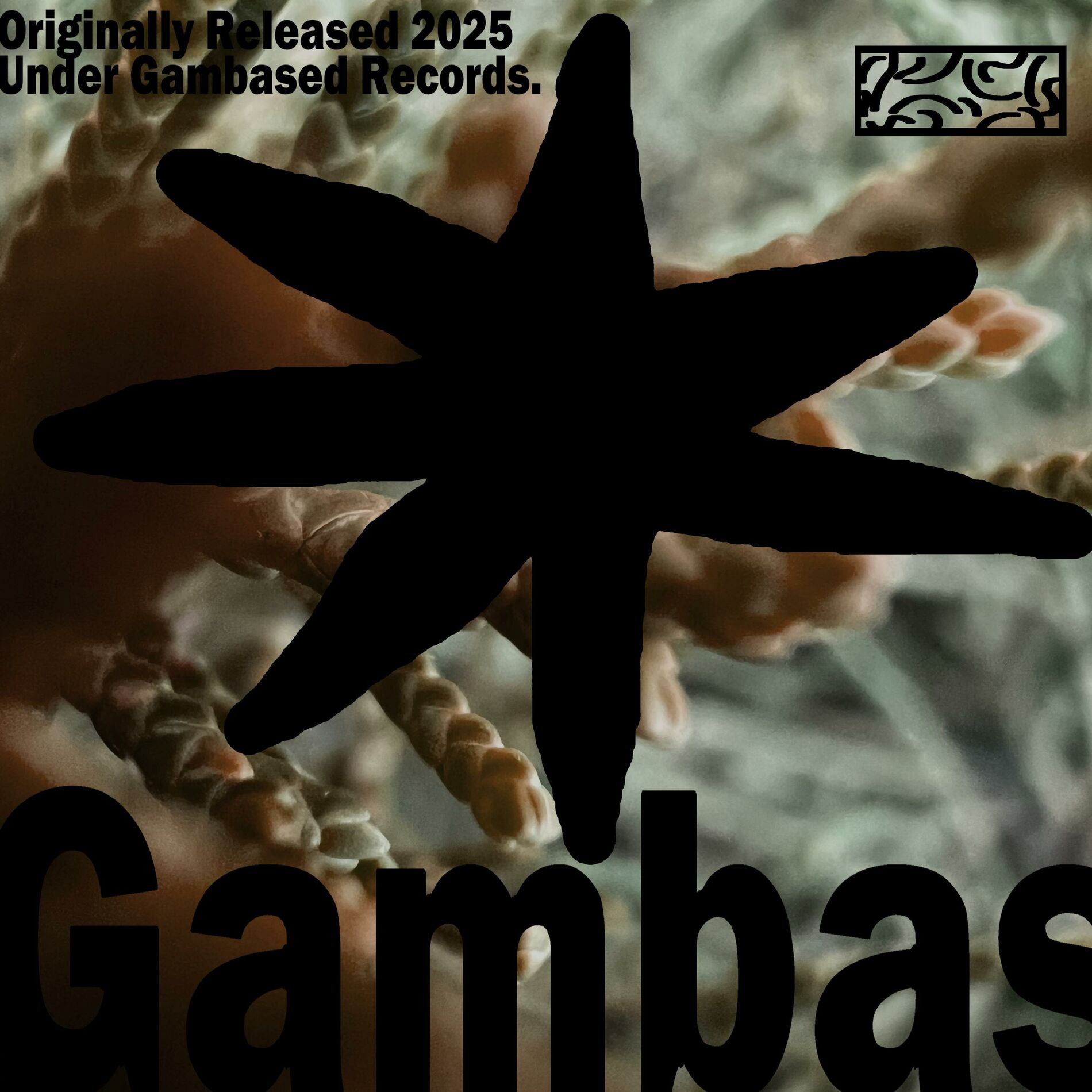Album cover of Gambas