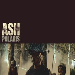 Cover of Polaris