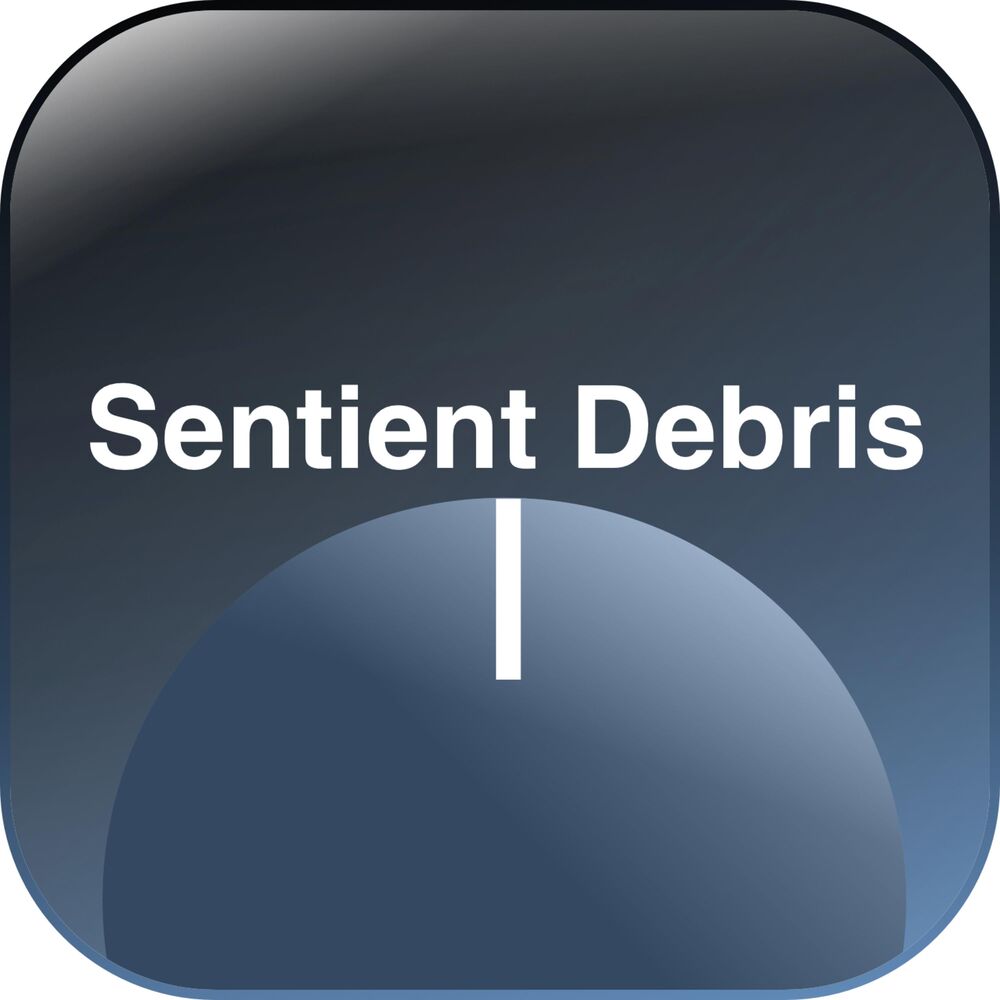 Picture of Sentient Debris I