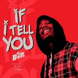 Cover of If I Tell You