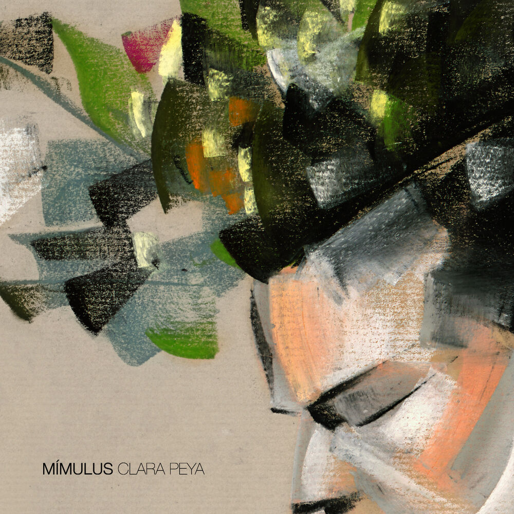 Picture of Mímulus