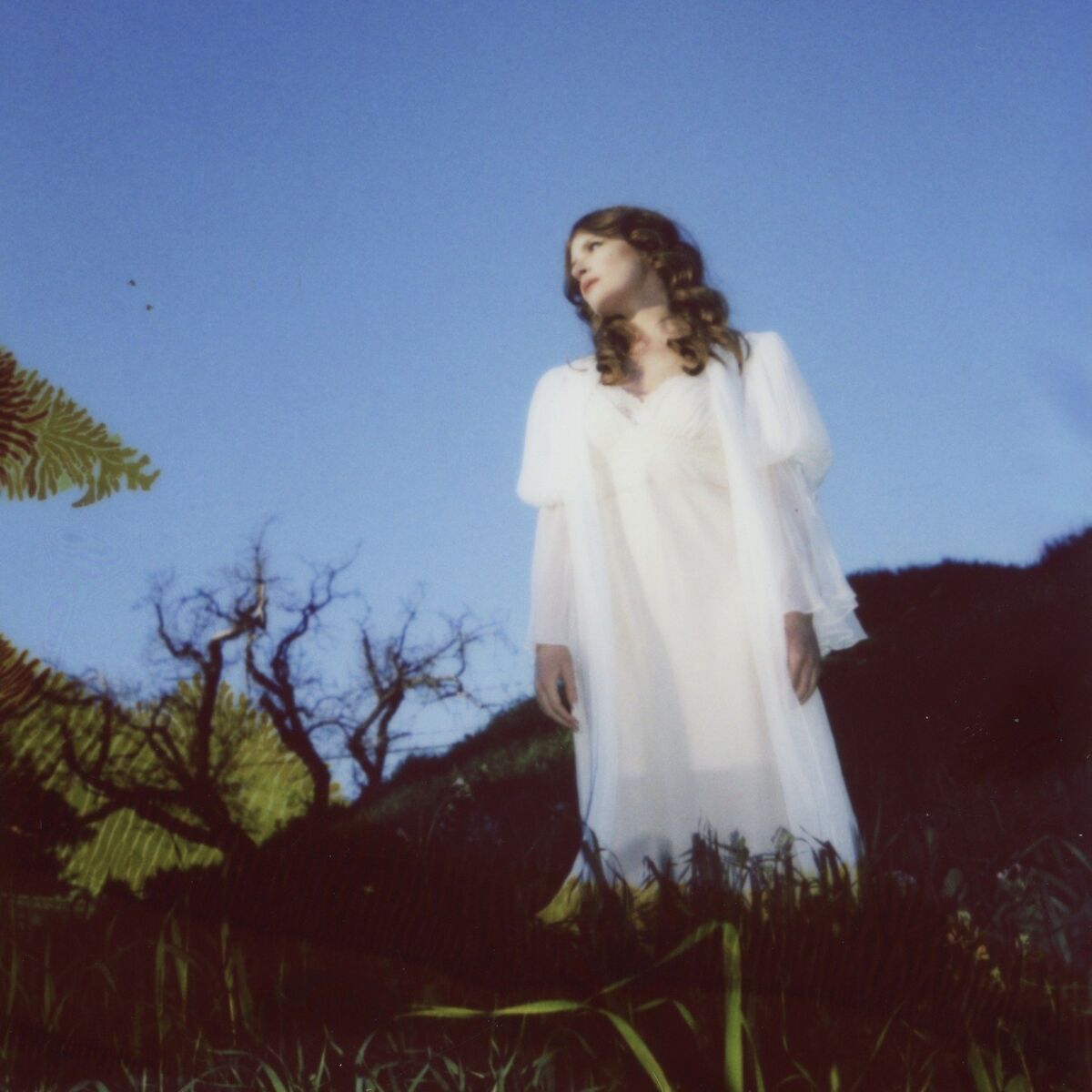 Album cover of The Tallest Mountain