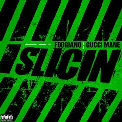 Cover of Slicin