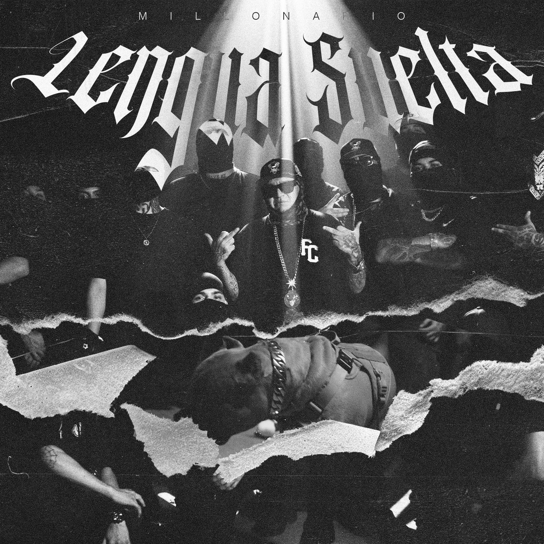 Album cover of Lengua Suelta