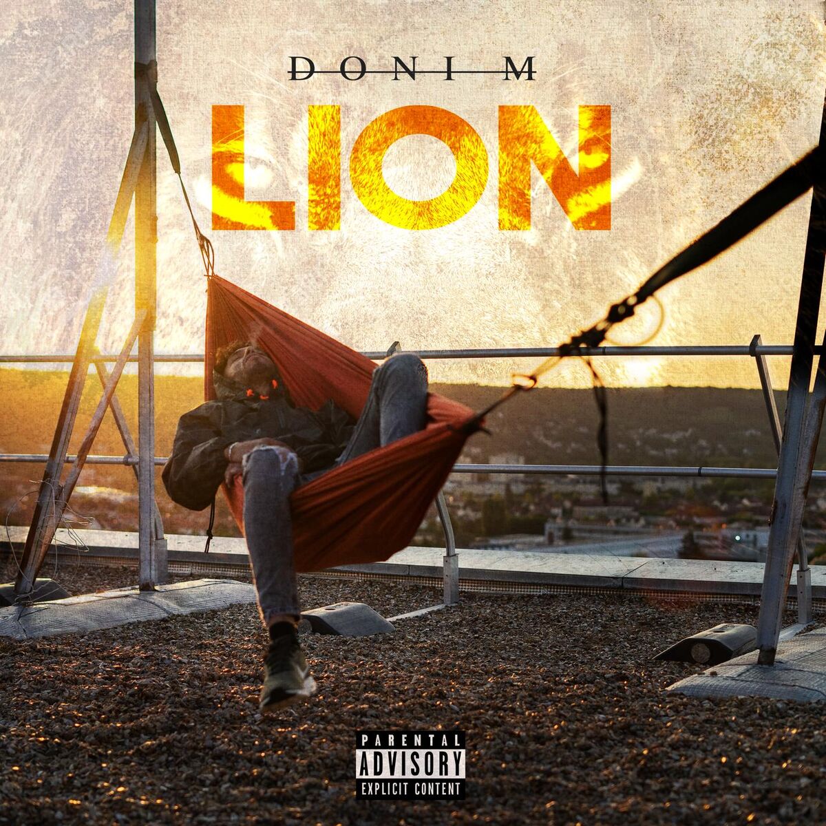 Album cover of Lion
