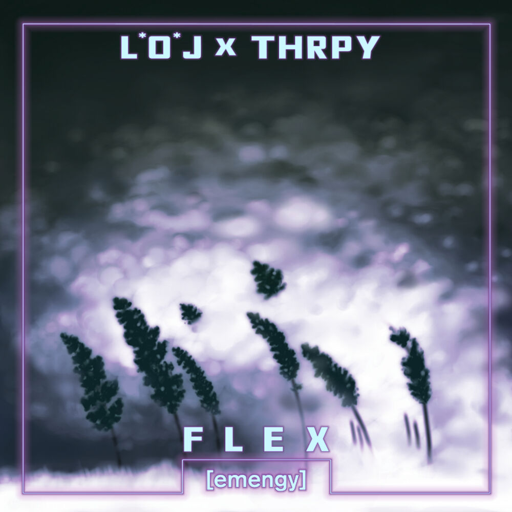 Picture of Flex
