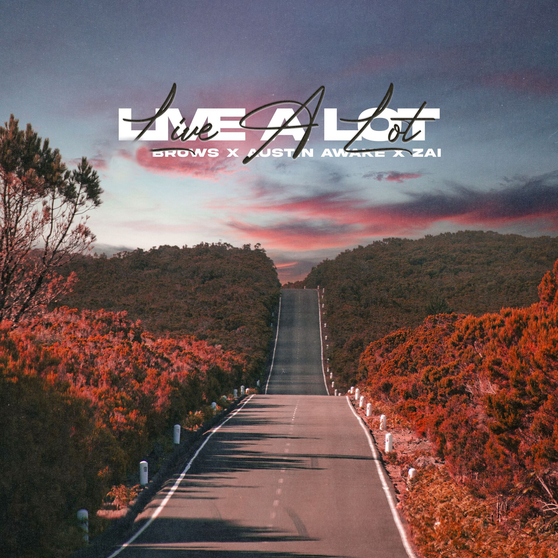 Album cover of Live a Lot