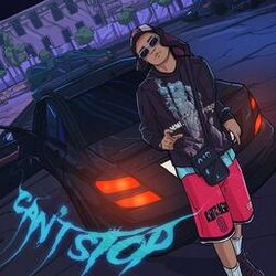 Cover of Can`t Stop