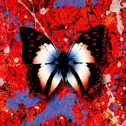 Cover of 2step (The Remixes)