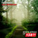 Lost Generation by Pathfinders album cover