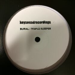 Cover of Temple Sleeper