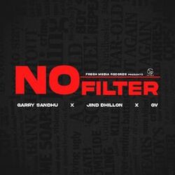 Cover of NO FILTER