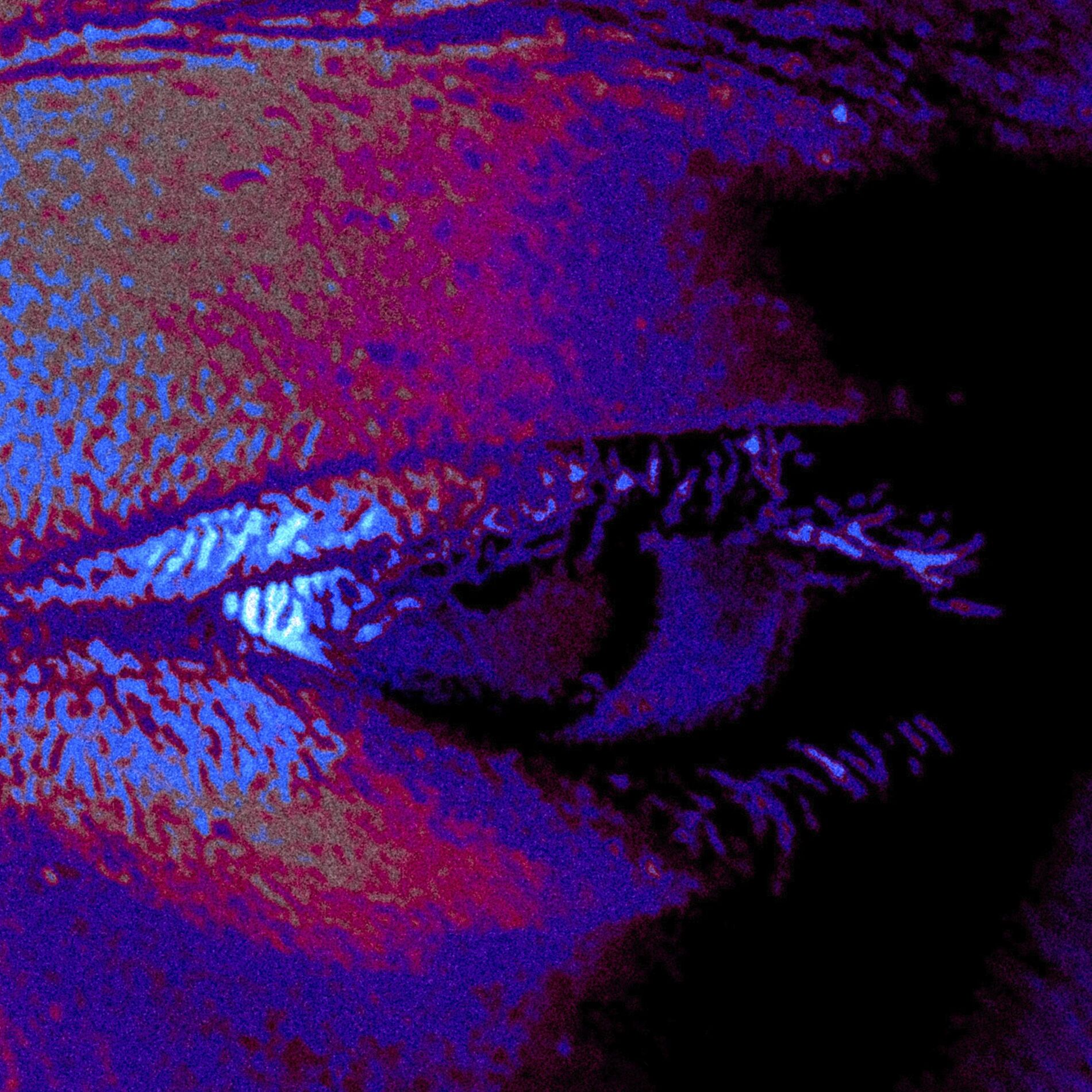 Album cover of OQA?