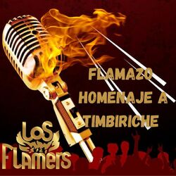 Cover of FLAMAZO HOMENAJE A TIMBIRICHE