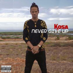 Cover of Never Give up - EP