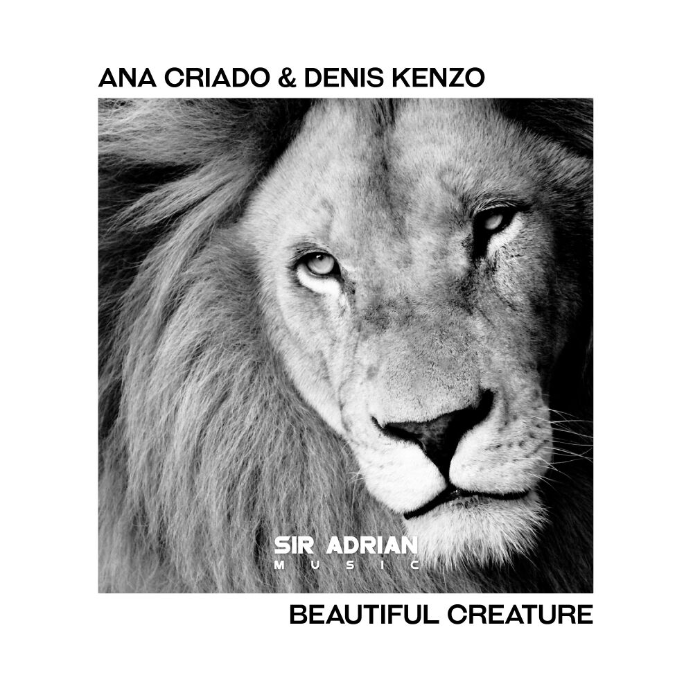 Picture of Beautiful Creature