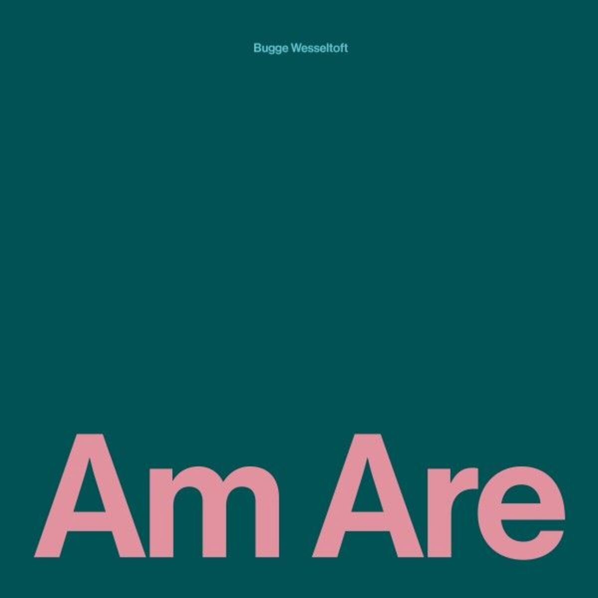 Album cover of Am Are