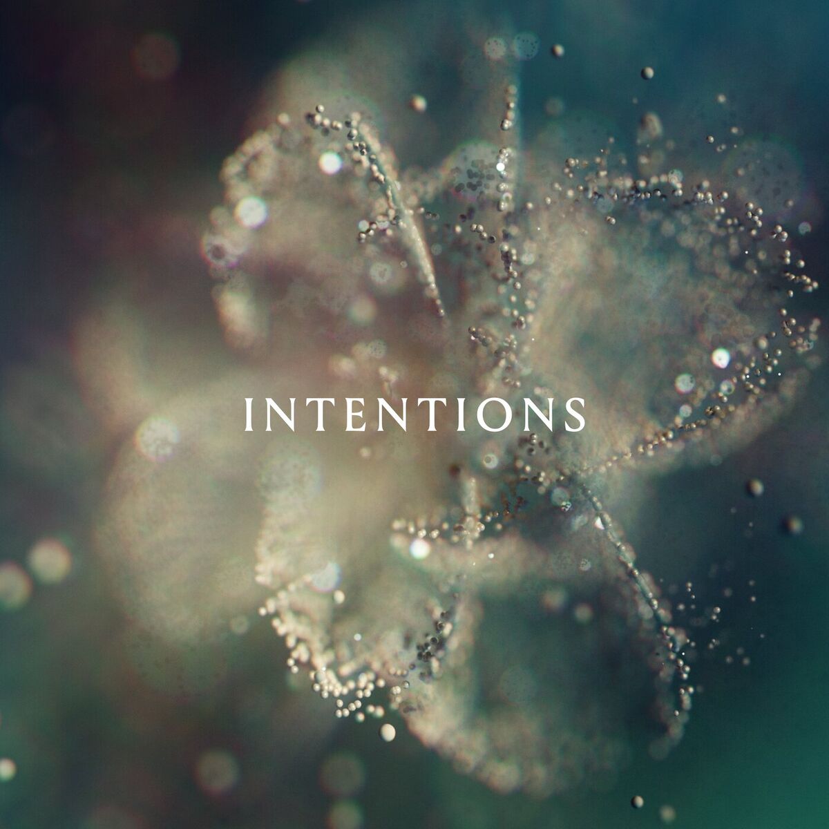 Album cover of Let You In