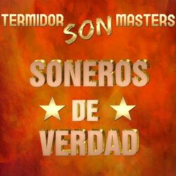 Cover of Termidor Son Masters