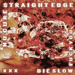 Cover of No Cure Straight Edge Die Slow Fuck You