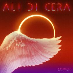Cover of Ali di cera