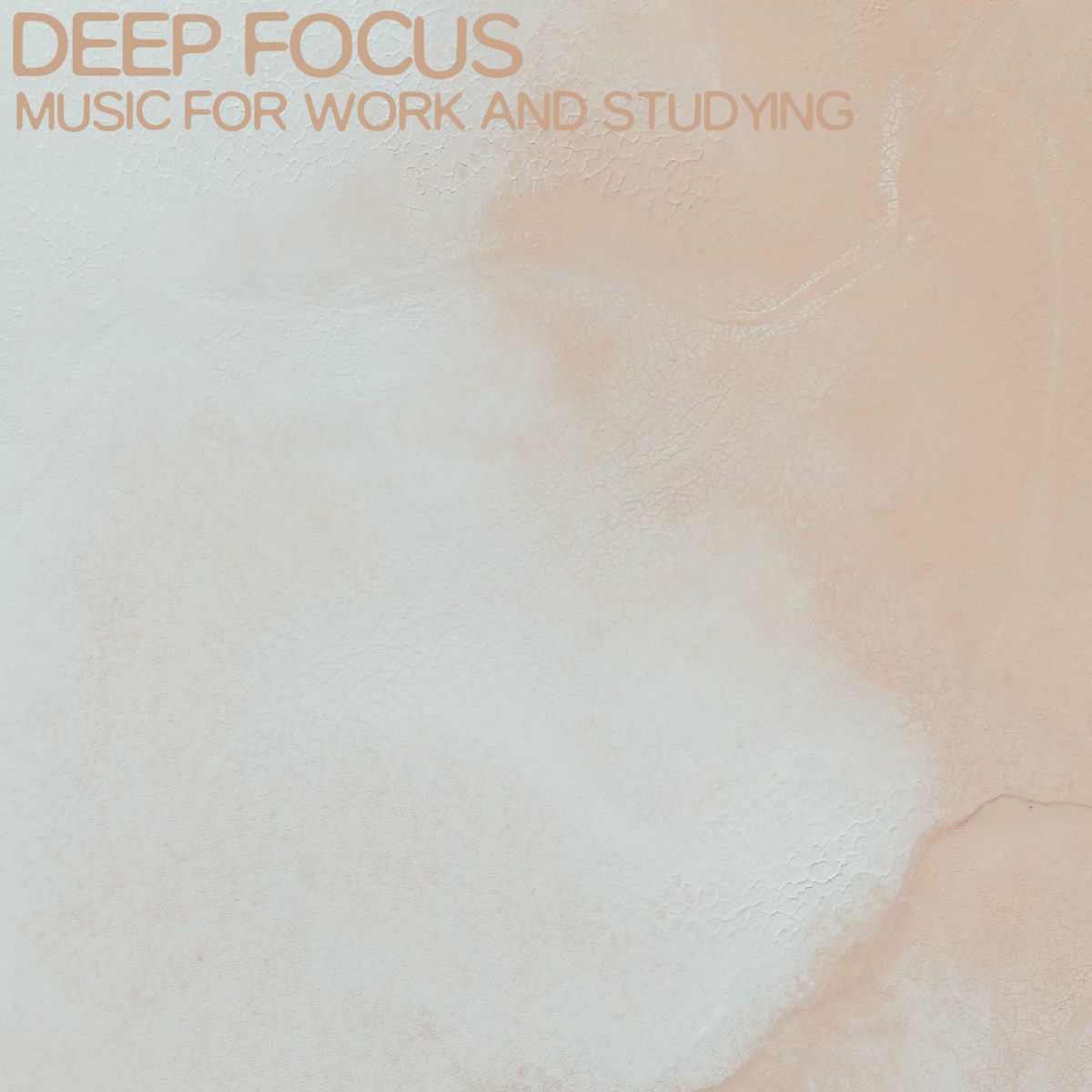 Album cover of Searching for Truth