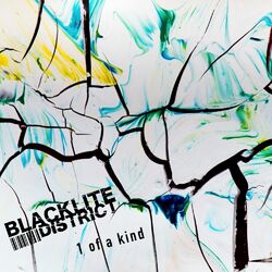 Cover of 1 of a Kind